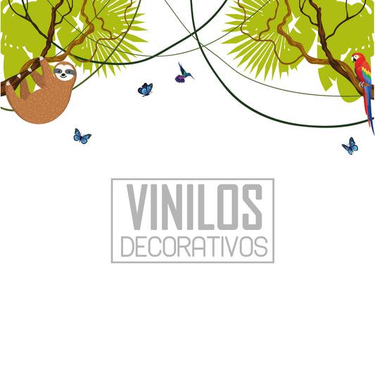 Bosque perezoso y lapa